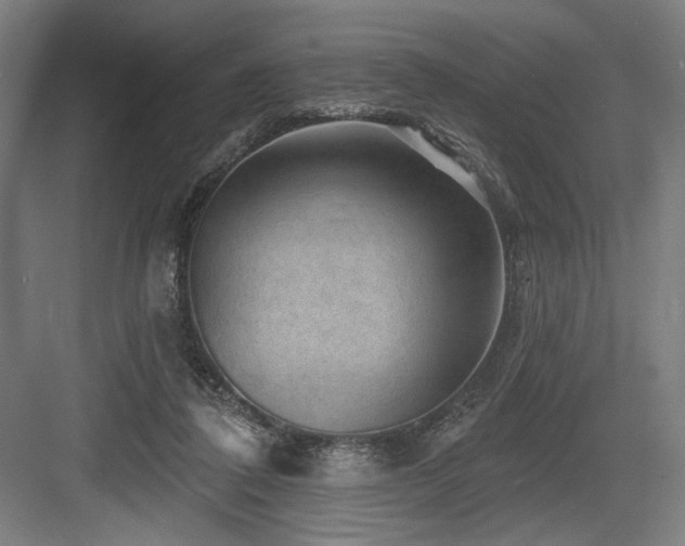 X0000083650308200702121157