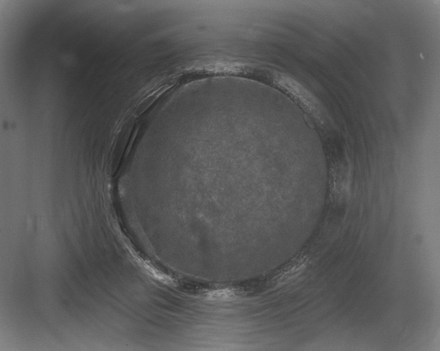 X0000083650309200702121157