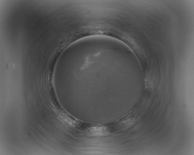 X0000083650314200702121157