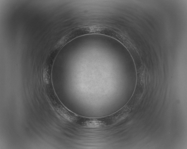 X0000083650316200702121157