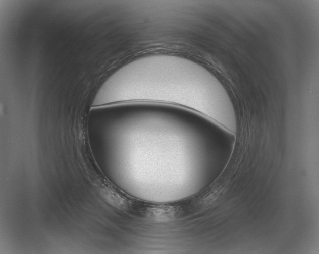 X0000083650317200702121157