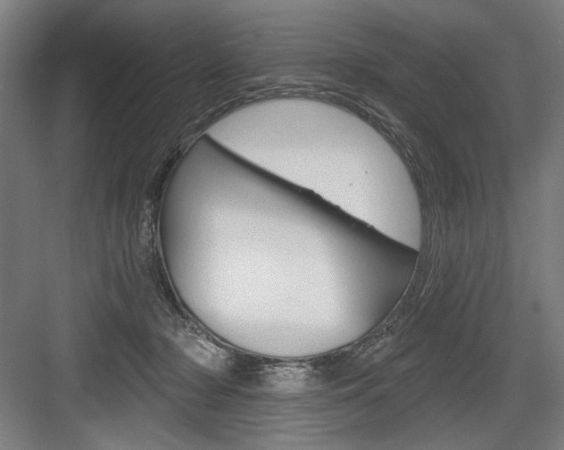 X0000083650318200702121157