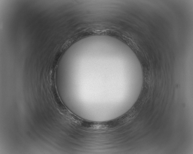 X0000083650319200702121157
