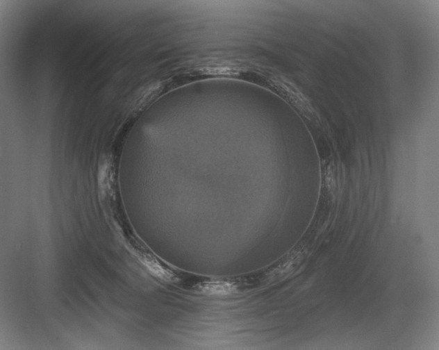 X0000083650322200702121156