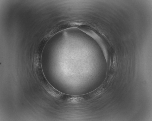 X0000083650323200702121156
