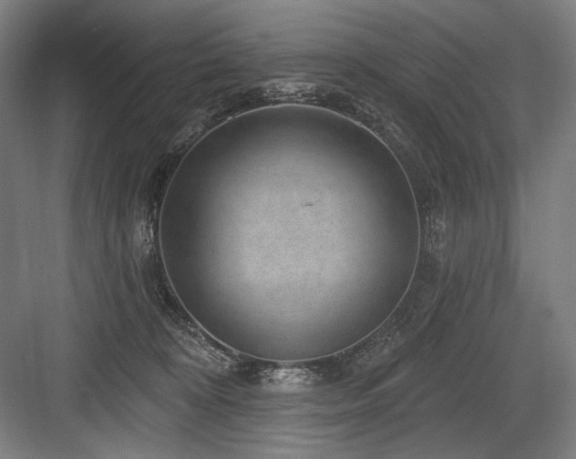 X0000083650324200702121156