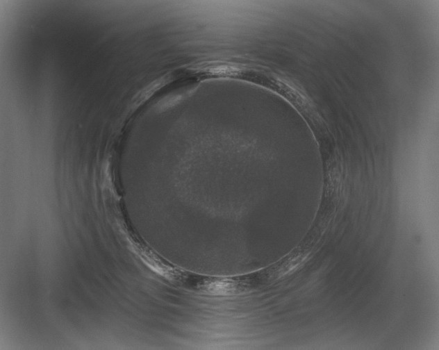 X0000083650325200702121156