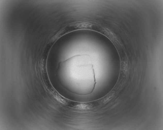 X0000083650326200702121156