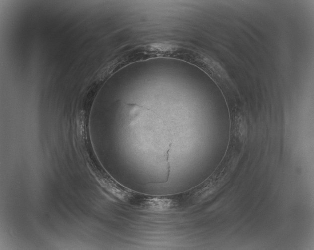 X0000083650328200702121156