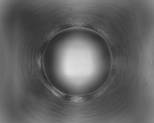 X0000083650334200702121156