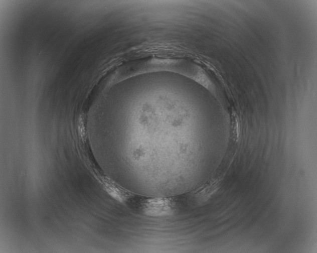 X0000083650335200702121156