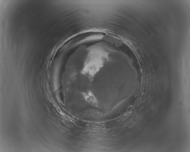 X0000083650337200702121155