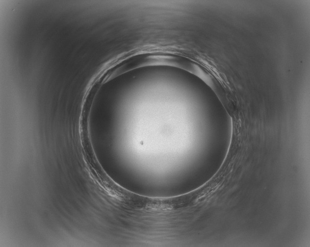 X0000083650340200702121155