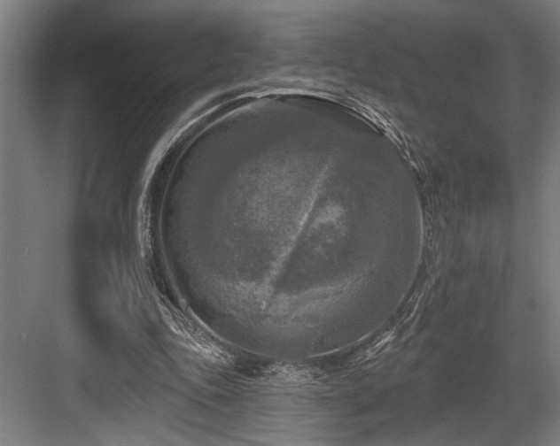 X0000083650343200702121156