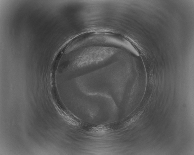 X0000083650351200702121156