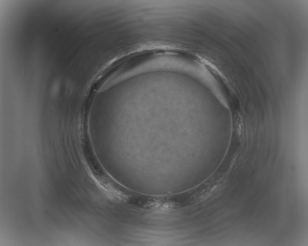 X0000083650352200702121156