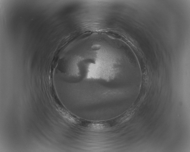 X0000083650361200702121156