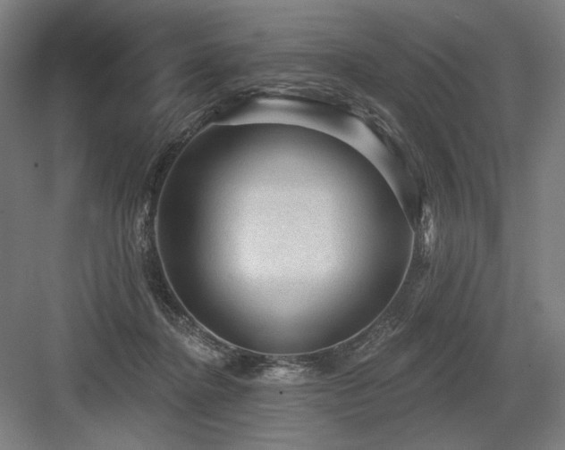 X0000083650364200702121156