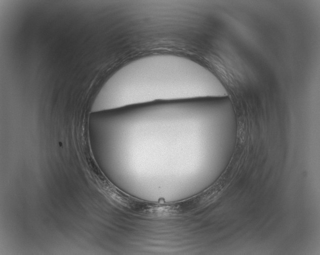 X0000083650365200702121156