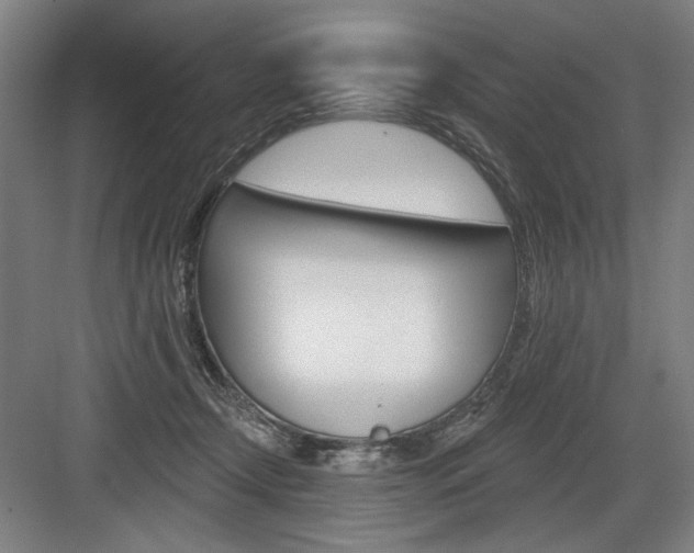 X0000083650366200702121156