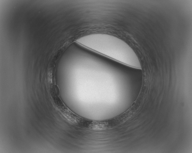 X0000083650368200702121156