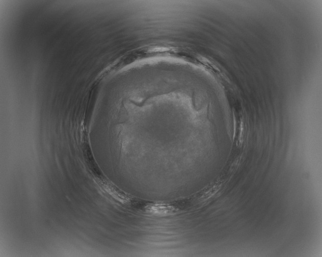 X0000083650372200702121156