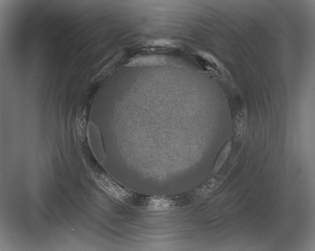 X0000083650376200702121156