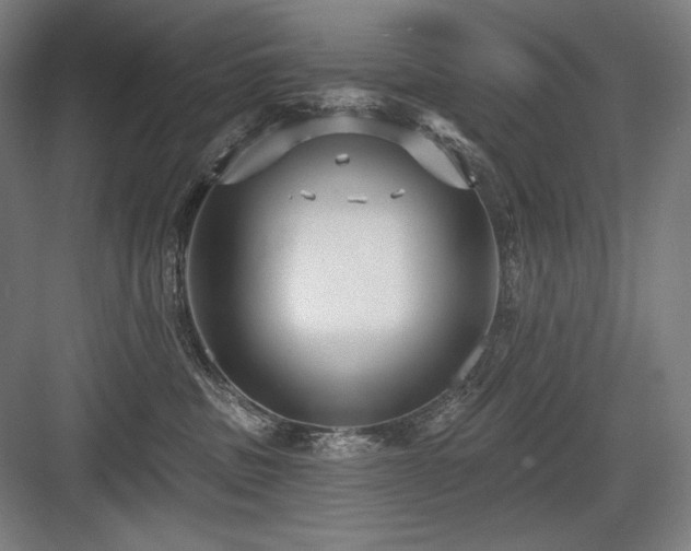 X0000083650379200702121156
