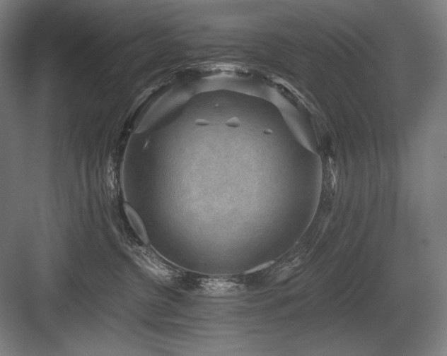 X0000083650380200702121156
