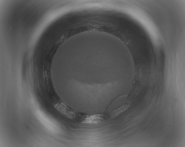 X0000083650382200702121156