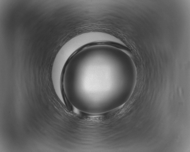 X0000083650384200702121156