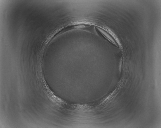 X0000083650385200702121155