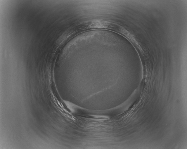 X0000083650386200702121155