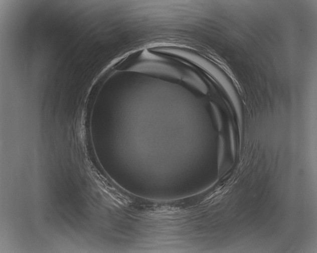 X0000083650387200702121155