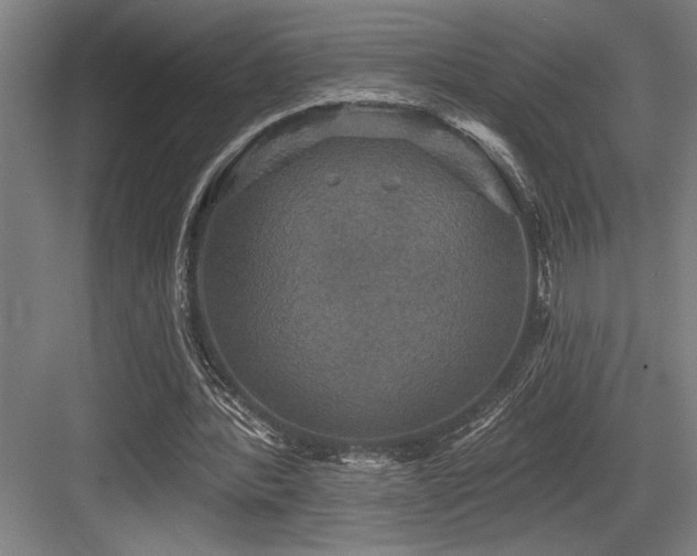 X0000083650388200702121155