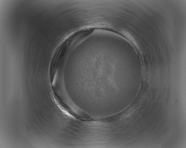 X0000083650389200702121155