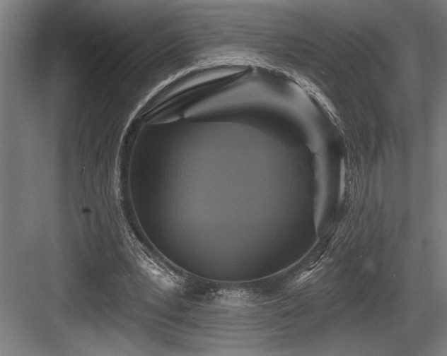 X0000083650391200702121155