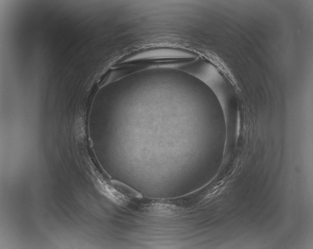 X0000083650393200702121155