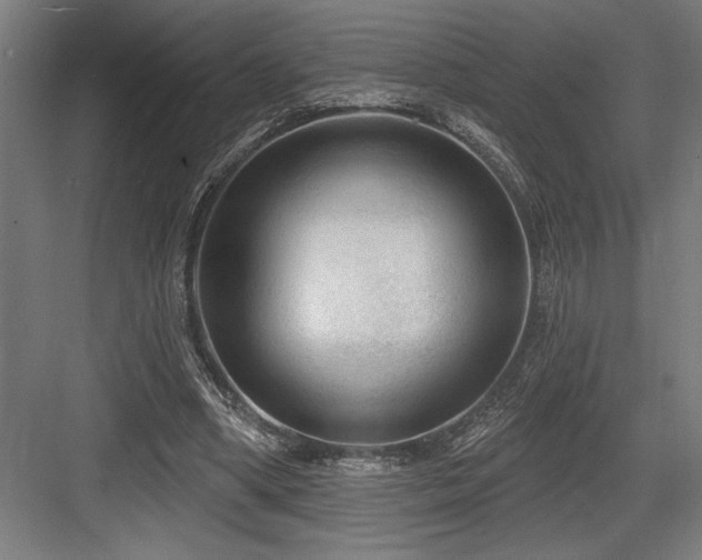 X0000083650394200702121155