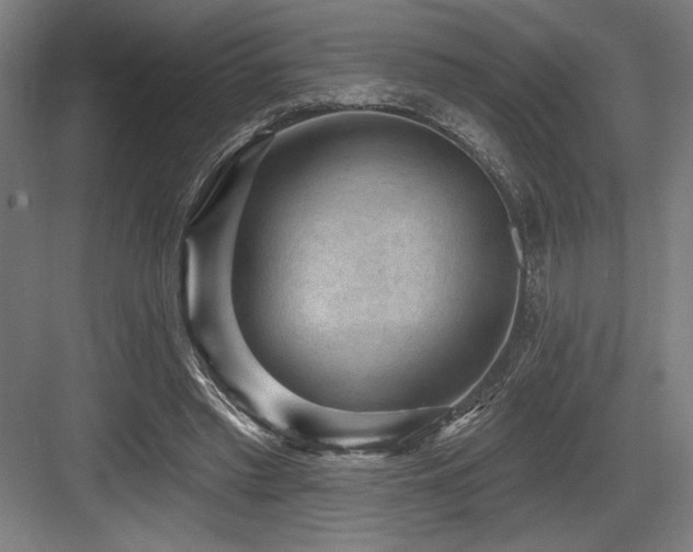 X0000083650397200702121155