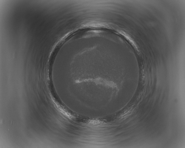 X0000083650399200702121155