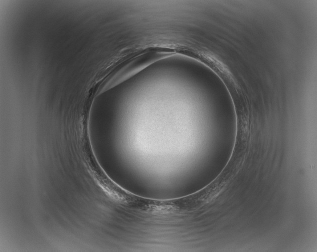 X0000083650401200702121155