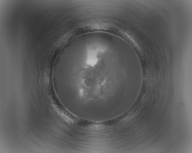 X0000083650402200702121155