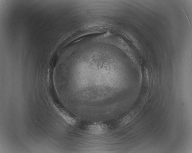 X0000083650404200702121155