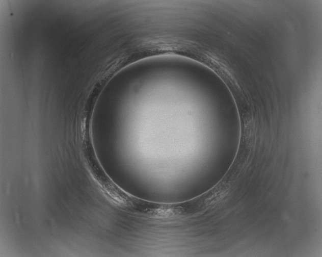 X0000083650406200702121155