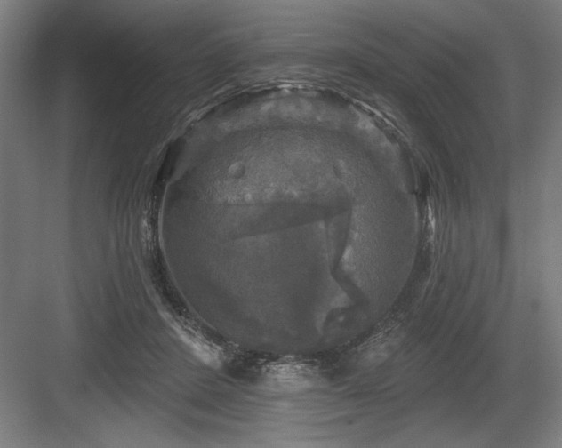 X0000083650408200702121155