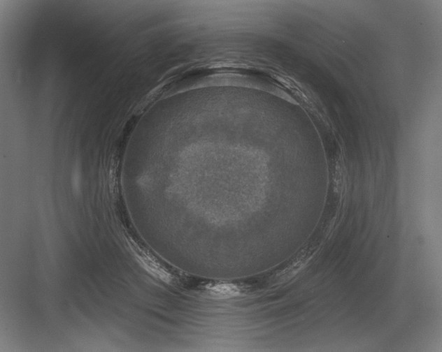 X0000083650409200702121155
