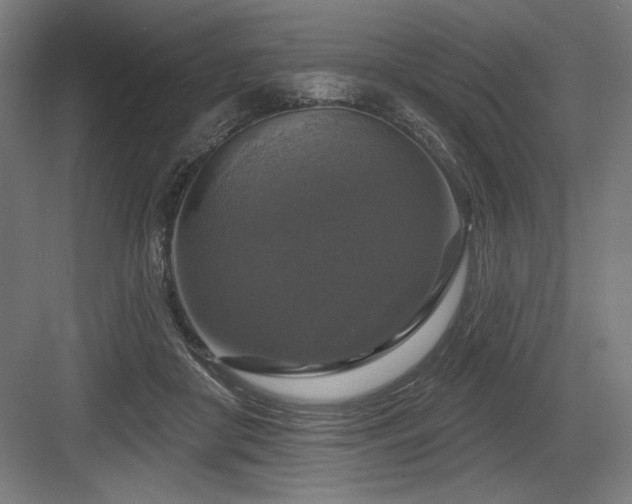 X0000083650410200702121155