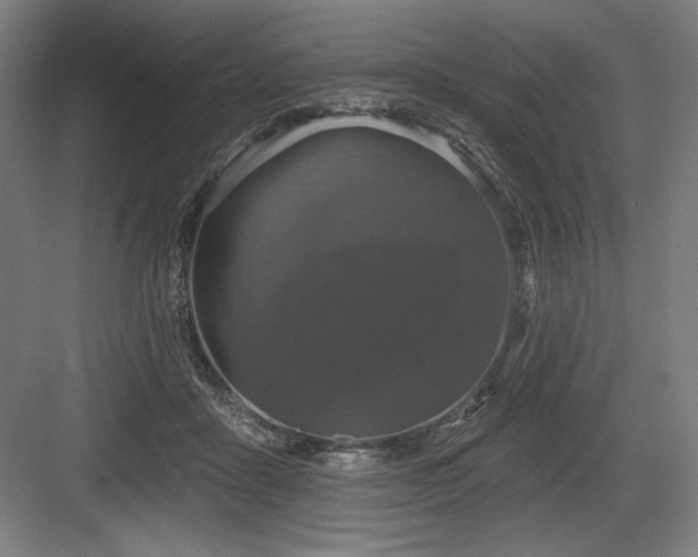 X0000083650411200702121155