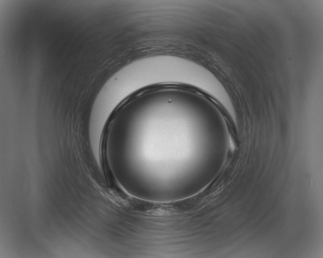 X0000083650412200702121155